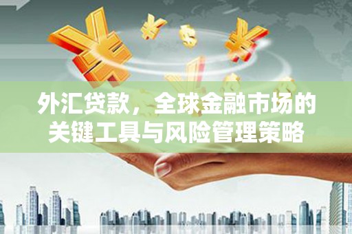 石家庄外汇贷款，全球金融市场的关键工具与风险管理策略