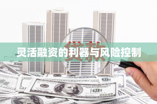 石家庄灵活融资的利器与风险控制