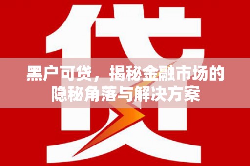 石家庄黑户可贷，揭秘金融市场的隐秘角落与解决方案