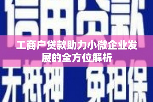 石家庄工商户贷款助力小微企业发展的全方位解析