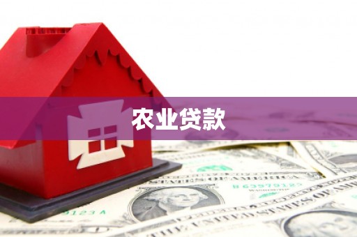 石家庄农业贷款