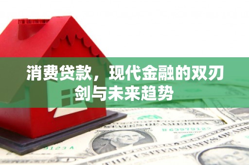 石家庄消费贷款，现代金融的双刃剑与未来趋势