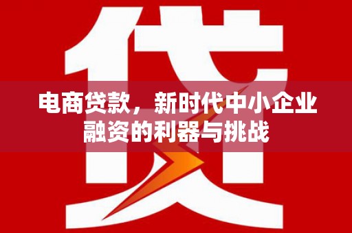 石家庄电商贷款，新时代中小企业融资的利器与挑战
