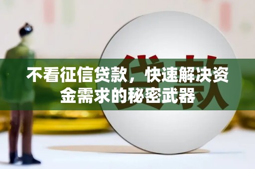 石家庄不看征信贷款，快速解决资金需求的秘密武器