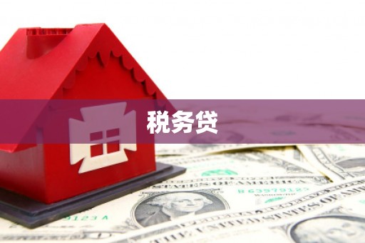 石家庄税务贷