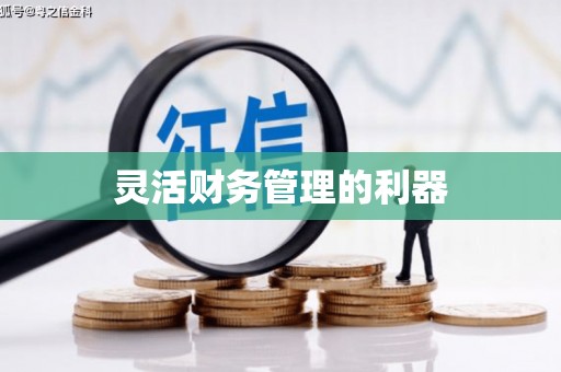 石家庄灵活财务管理的利器