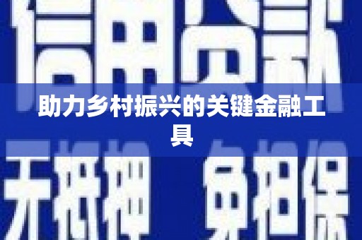 石家庄助力乡村振兴的关键金融工具
