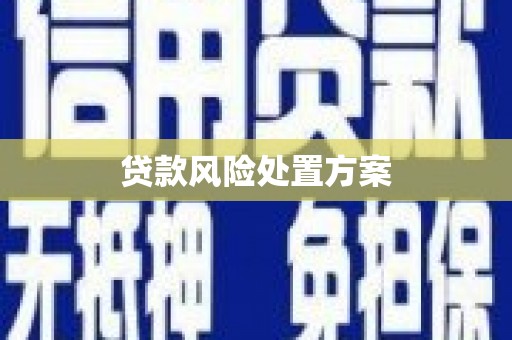 石家庄贷款风险处置方案