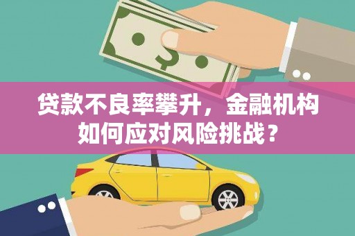 石家庄贷款不良率攀升，金融机构如何应对风险挑战？