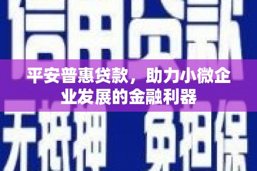 石家庄平安普惠贷款，助力小微企业发展的金融利器