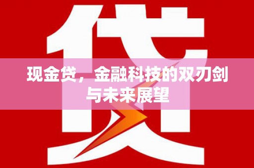 石家庄现金贷，金融科技的双刃剑与未来展望