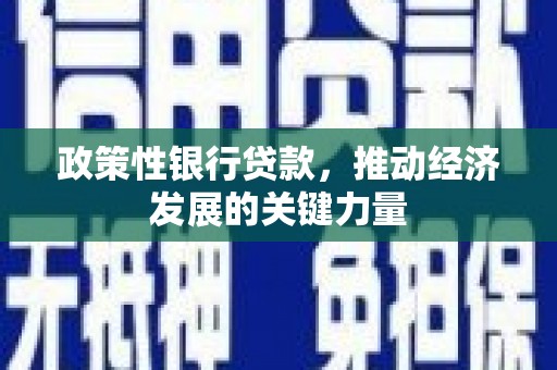 石家庄政策性银行贷款，推动经济发展的关键力量