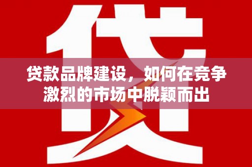 石家庄贷款品牌建设，如何在竞争激烈的市场中脱颖而出