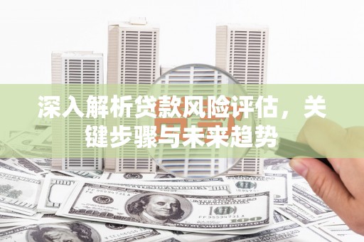 石家庄深入解析贷款风险评估，关键步骤与未来趋势