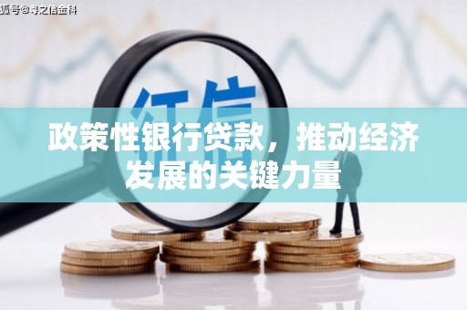 石家庄政策性银行贷款，推动经济发展的关键力量