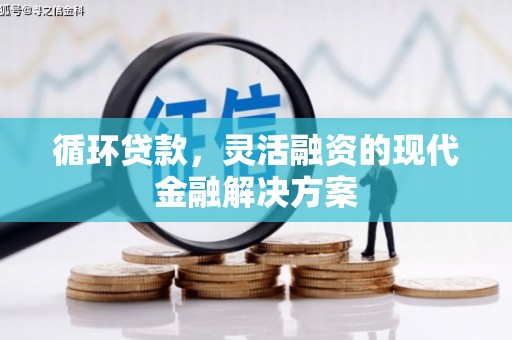 石家庄循环贷款，灵活融资的现代金融解决方案