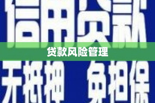 石家庄贷款风险管理