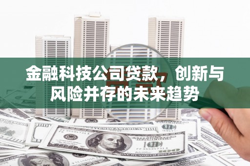 石家庄金融科技公司贷款，创新与风险并存的未来趋势