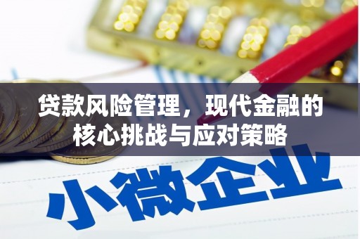 石家庄贷款风险管理，现代金融的核心挑战与应对策略
