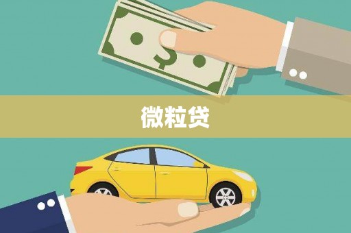 石家庄微粒贷