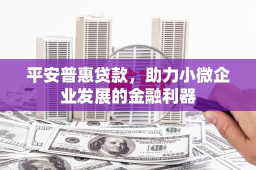 石家庄平安普惠贷款，助力小微企业发展的金融利器