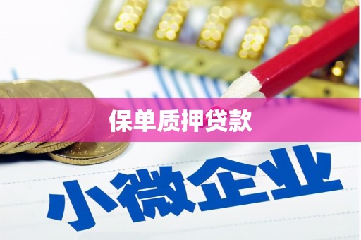 石家庄保单质押贷款