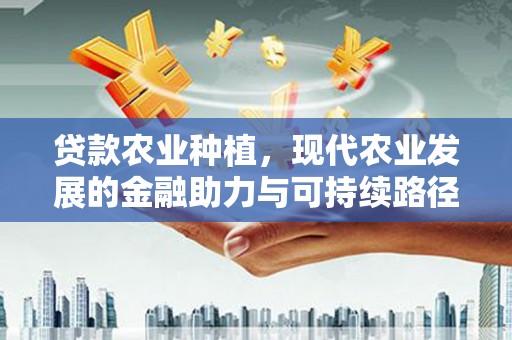 石家庄贷款农业种植，现代农业发展的金融助力与可持续路径