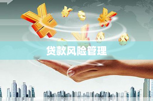 石家庄贷款风险管理