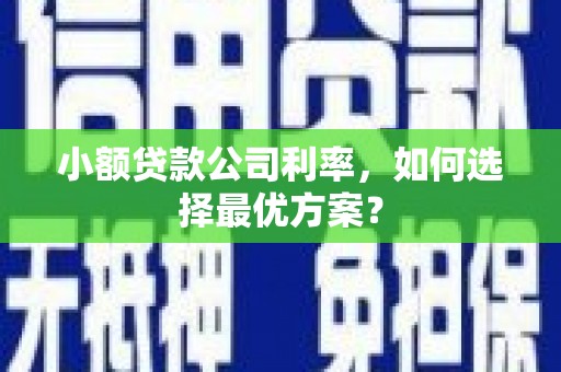 石家庄小额贷款公司利率，如何选择最优方案？