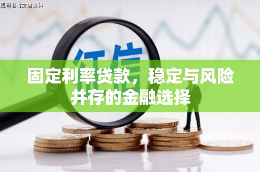 石家庄固定利率贷款，稳定与风险并存的金融选择