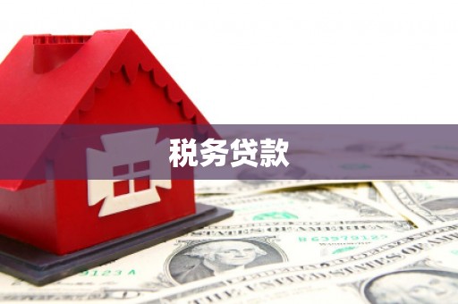石家庄税务贷款