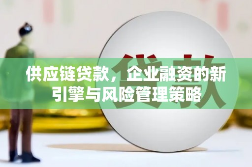石家庄供应链贷款，企业融资的新引擎与风险管理策略