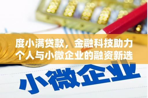 石家庄度小满贷款，金融科技助力个人与小微企业的融资新选择