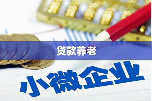 石家庄贷款养老