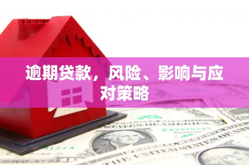 石家庄逾期贷款，风险、影响与应对策略