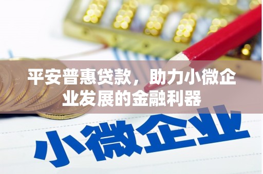 石家庄平安普惠贷款，助力小微企业发展的金融利器