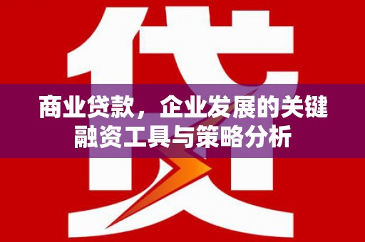 石家庄商业贷款，企业发展的关键融资工具与策略分析