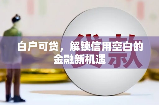 石家庄白户可贷，解锁信用空白的金融新机遇