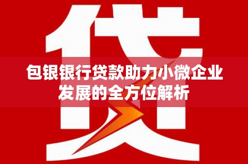 石家庄包银银行贷款助力小微企业发展的全方位解析