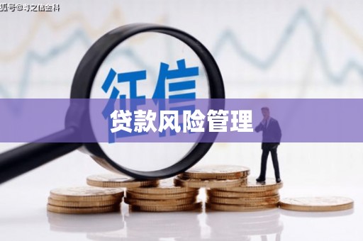 石家庄贷款风险管理