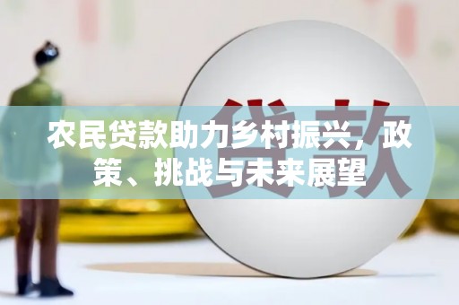 石家庄农民贷款助力乡村振兴，政策、挑战与未来展望