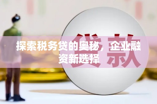 石家庄探索税务贷的奥秘，企业融资新选择