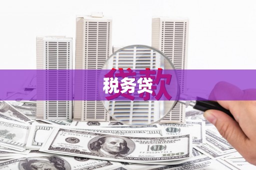 石家庄税务贷