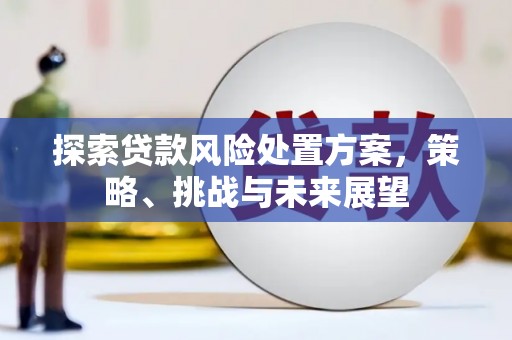 石家庄探索贷款风险处置方案，策略、挑战与未来展望