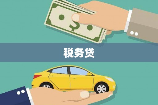 石家庄税务贷