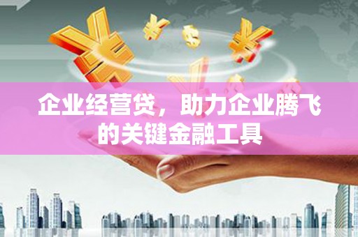 石家庄企业经营贷，助力企业腾飞的关键金融工具