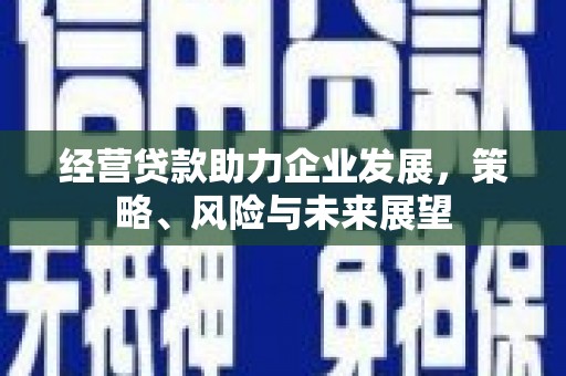 石家庄经营贷款助力企业发展，策略、风险与未来展望
