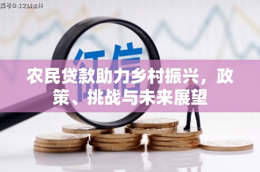 石家庄农民贷款助力乡村振兴，政策、挑战与未来展望