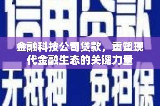 石家庄金融科技公司贷款，重塑现代金融生态的关键力量