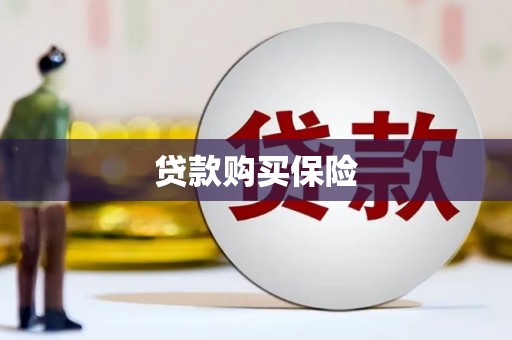 石家庄贷款购买保险